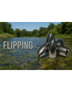 FLIPPING